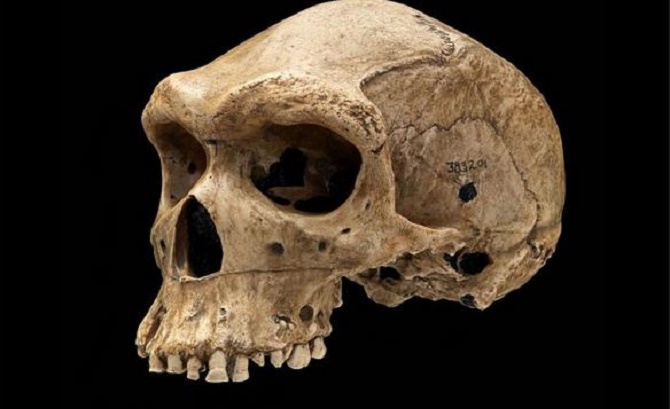 Scientists Discover New Fossils Claimed to be the Oldest Human Ancestors